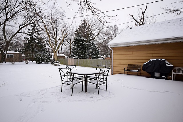 209 Plainfield Rd, Darien, IL 60561 photo 23