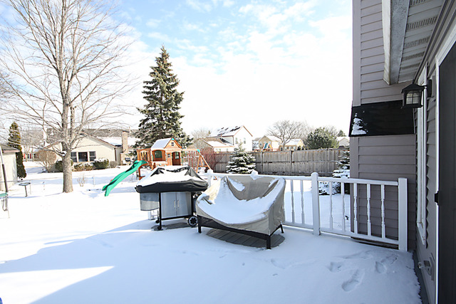 1955 Shetland Dr, Wheaton, IL 60189 photo 18