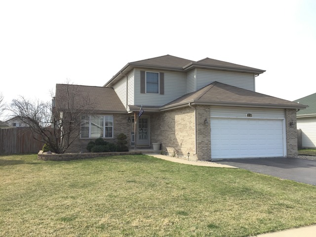 25718 S Taft St, Monee, IL 60449 photo 1