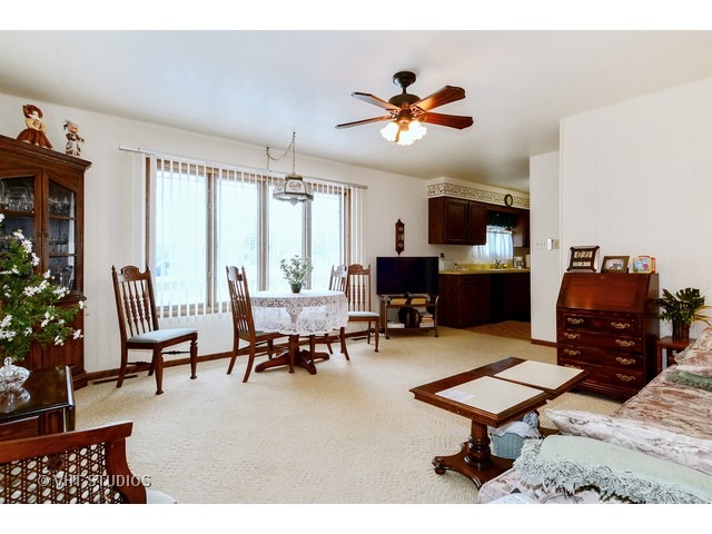 325 E Willow St, Elburn, IL 60119 photo 5