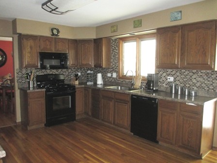 815 N Lyle Ave, Elgin, IL 60123 photo 4