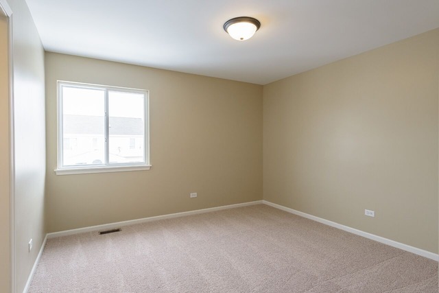 6209 Stafford St, Plainfield, IL 60586 photo 19
