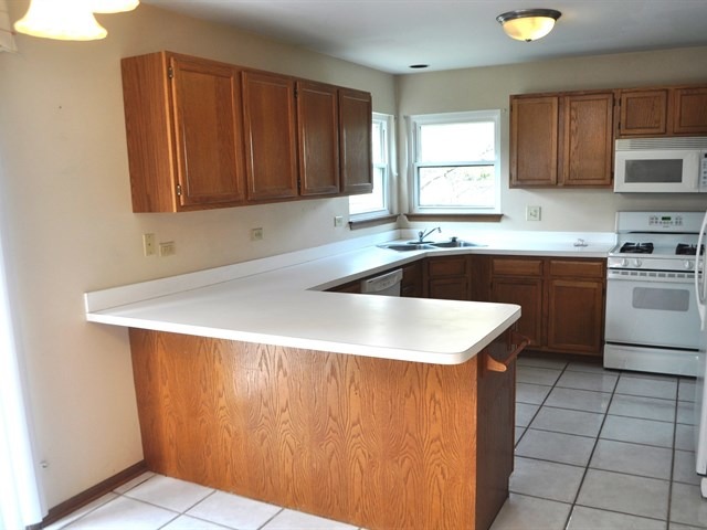 1470 Knotty Pine Dr, Elgin, IL 60123 photo 3