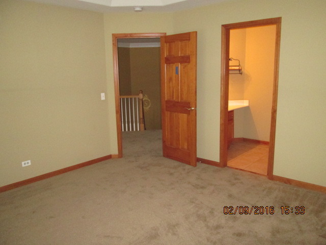 1015 Riverstone Dr, Aurora, IL 60502 photo 14