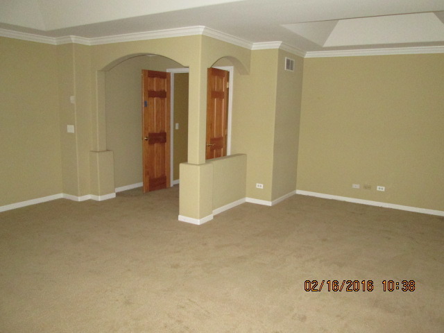 1015 Riverstone Dr, Aurora, IL 60502 photo 13