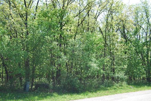 1215 Fox Run St, Seneca, IL 61360 photo 2