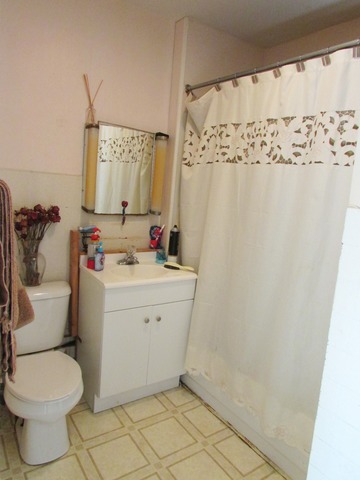726 E Downer Pl, Aurora, IL 60505 photo 7