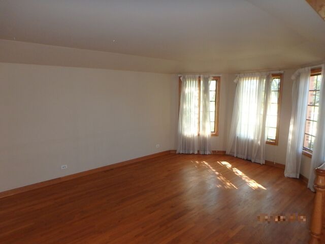 9307 W Golfview Dr, Frankfort, IL 60423 photo 8