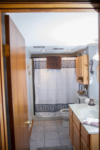 18351 Bock Rd, Lansing, IL 60438 photo 9