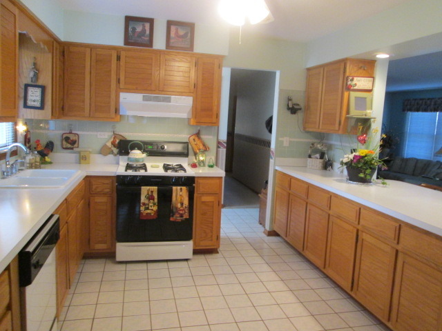 3529 Ronald Rd, Crete, IL 60417 photo 4
