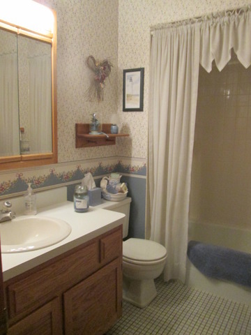 3529 Ronald Rd, Crete, IL 60417 photo 14