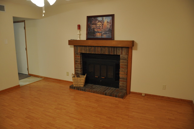 17416 Johnson St, Union, IL 60180 photo 20