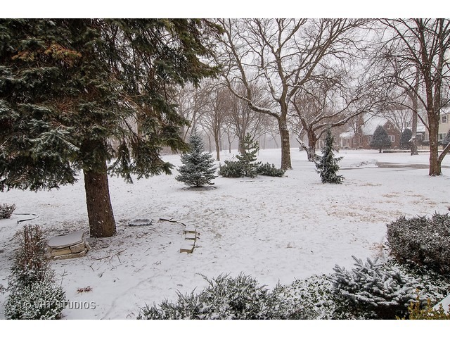 229 Blackhawk Rd, Riverside, IL 60546 photo 4