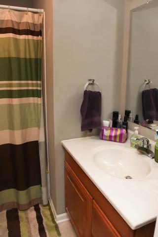 1420 E Old Pine Bluff Rd, Morris, IL 60450 photo 9