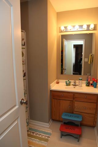 1420 E Old Pine Bluff Rd, Morris, IL 60450 photo 5