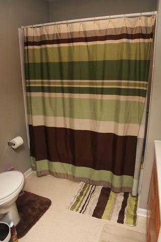 1420 E Old Pine Bluff Rd, Morris, IL 60450 photo 8