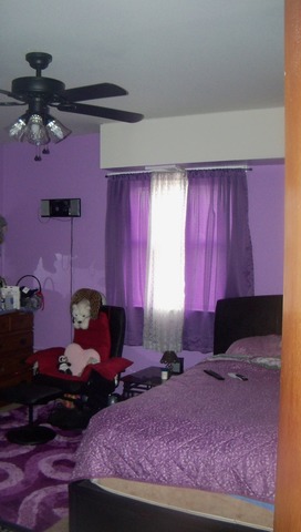 8229 S Evans Ave, Chicago, IL 60619 photo 11
