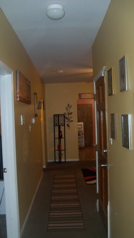 8229 S Evans Ave, Chicago, IL 60619 photo 13
