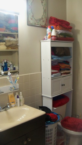 8229 S Evans Ave, Chicago, IL 60619 photo 15