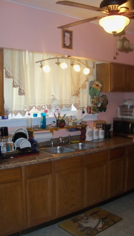 8229 S Evans Ave, Chicago, IL 60619 photo 10