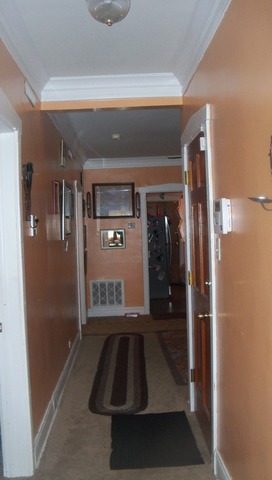 8229 S Evans Ave, Chicago, IL 60619 photo 6