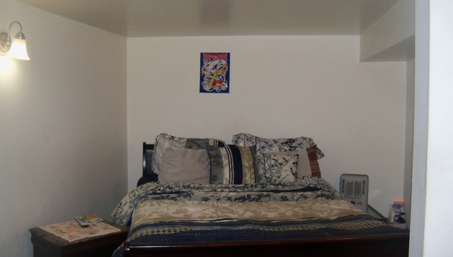 8229 S Evans Ave, Chicago, IL 60619 photo 23