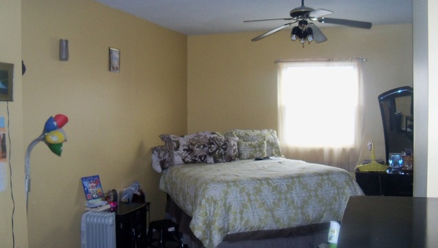 8229 S Evans Ave, Chicago, IL 60619 photo 16