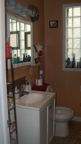8229 S Evans Ave, Chicago, IL 60619 photo 8