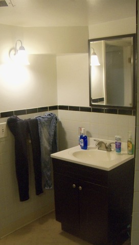 8229 S Evans Ave, Chicago, IL 60619 photo 19