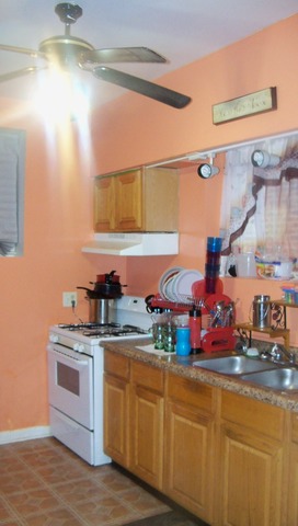 8229 S Evans Ave, Chicago, IL 60619 photo 18