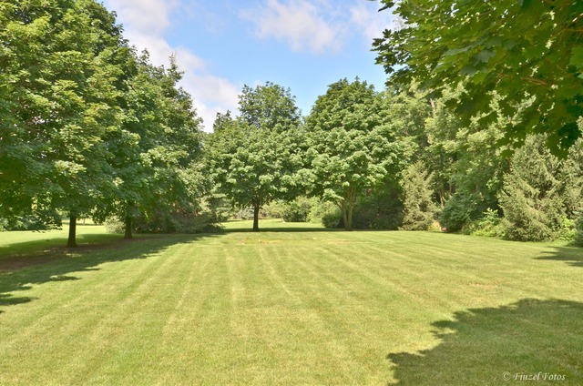 1209 Matanuska Trl, Mchenry, IL 60050 photo 3