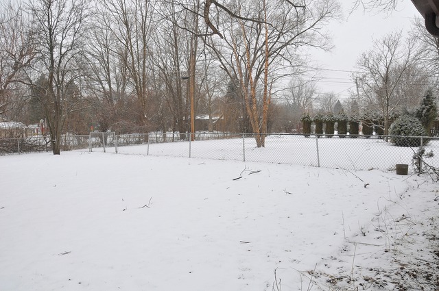 21 W481 Stone Ave, Addison, IL 60101 photo 17