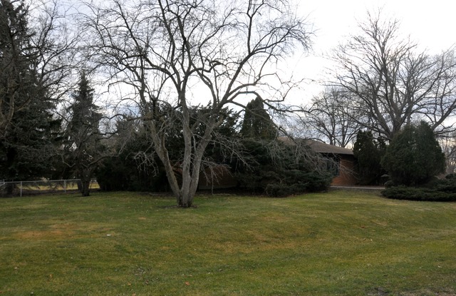 21 W481 Stone Ave, Addison, IL 60101 photo 1