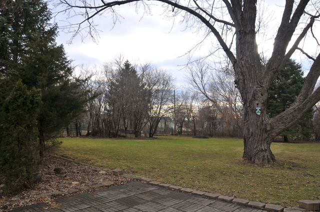21 W481 Stone Ave, Addison, IL 60101 photo 20