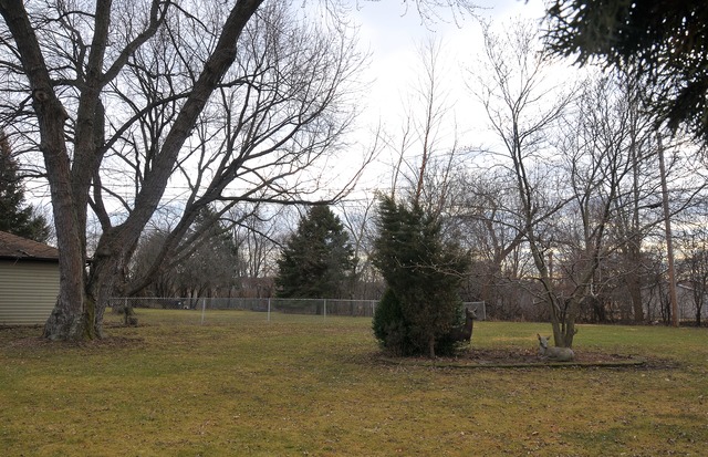 21 W481 Stone Ave, Addison, IL 60101 photo 18