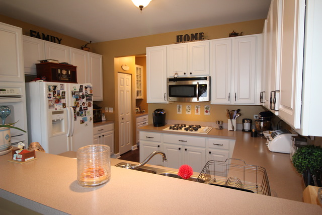 11386 Middletown Ln, Huntley, IL 60142 photo 5