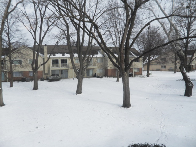 1600 Newburn Ct #D-2, Wheeling, IL 60090 photo 14