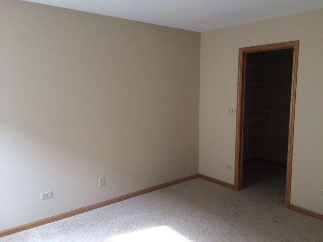 4138 Rivertowne Dr, Plainfield, IL 60586 photo 7