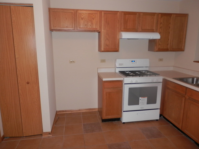 4138 Rivertowne Dr, Plainfield, IL 60586 photo 5