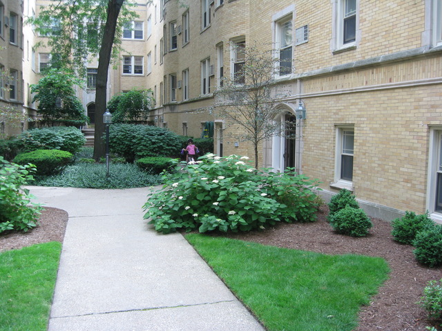 831 Forest Ave #2W, Evanston, IL 60202 photo 10