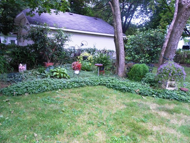 728 Cedar Ave, Elgin, IL 60120 photo 21