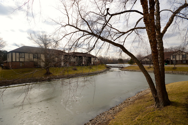 1005 Harbour Dr #1A, Wheeling, IL 60090 photo 17