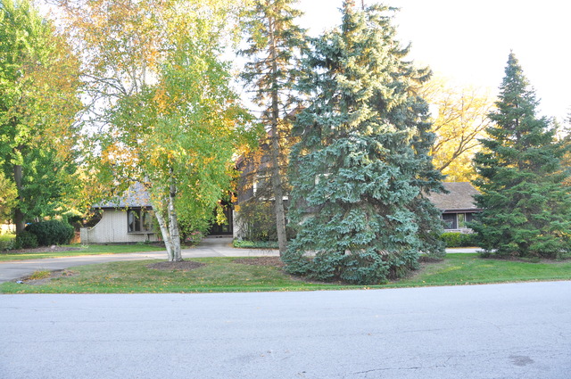 6330 Martin Dr, Willowbrook, IL 60527 photo 1