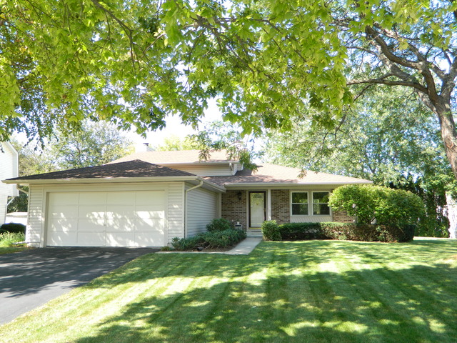 4140 N Parkside Dr, Hoffman Estates, IL 60192 photo 1