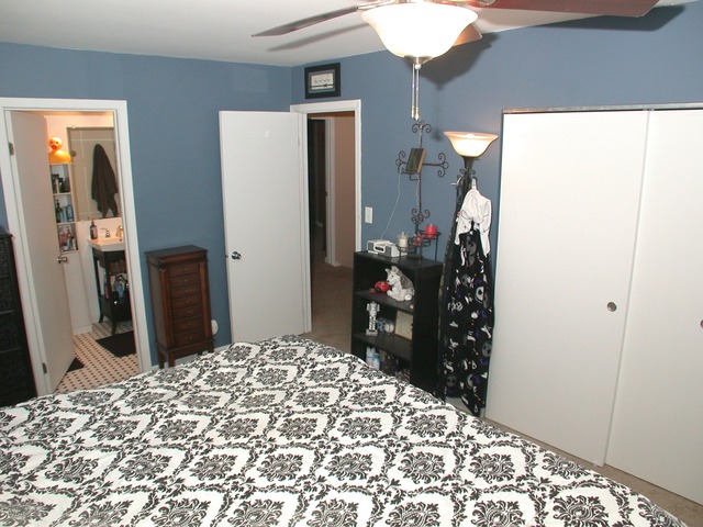 1838 Williamsburg Dr, Hoffman Estates, IL 60169 photo 11