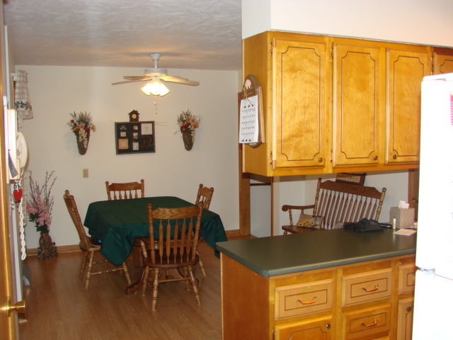 603 E 3rd St, Prophetstown, IL 61277 photo 8