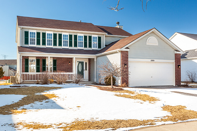 1909 Arbor Falls Dr, Plainfield, IL 60586 photo 1