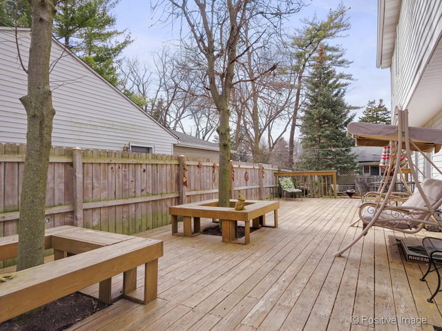 318 Elm St, Wheaton, IL 60189 photo 14