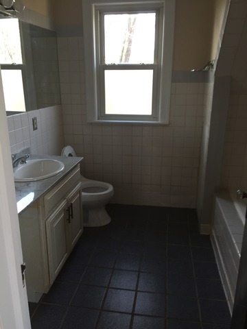 1614 Pitner Ave, Evanston, IL 60201 photo 11