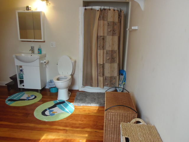 22 N Union St, Elgin, IL 60123 photo 9